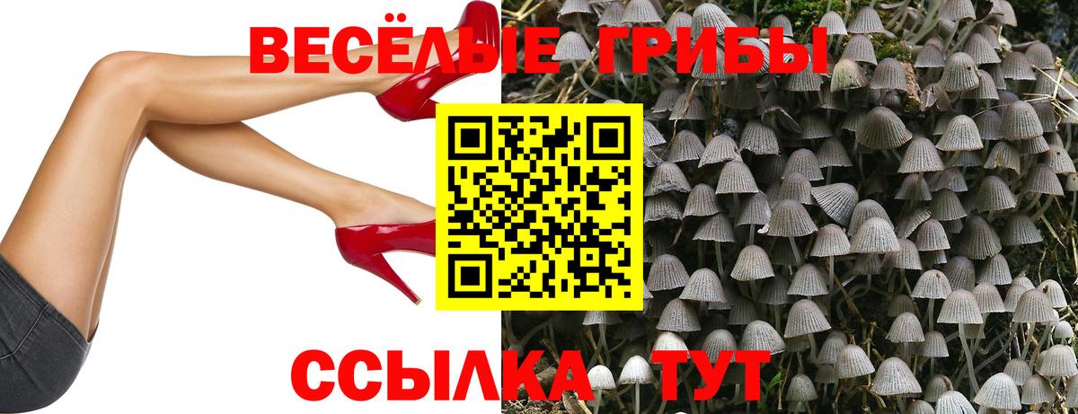 Псилоцибиновые грибы GOLDEN TEACHER Избербаш